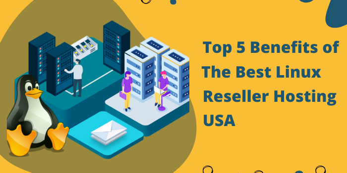 Top 5 Benefits of the Best Linux Reseller Hosting USA