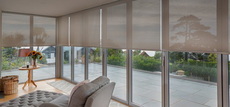 What Should You Look for in the Blinds in My Area?